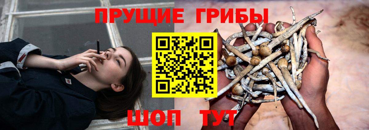 Ступино  Псилоцибиновые грибы ЛСД  Вход с VPN 